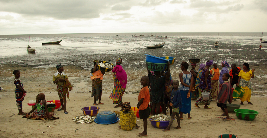 Alimentation filière pêche Kamsar Guinée impacts sociaux