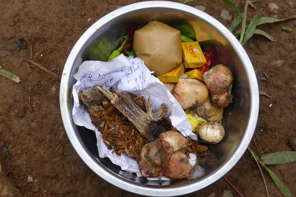 pratiques alimentaires et agriculture sécurité alimentaire pisciculture Guinée Forestière