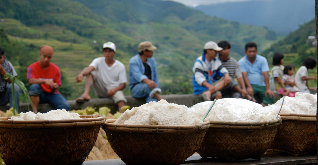 Vulnérabilité étude ethnographique filière patrimoine alimentation Philippines riz tinawon Ifugao