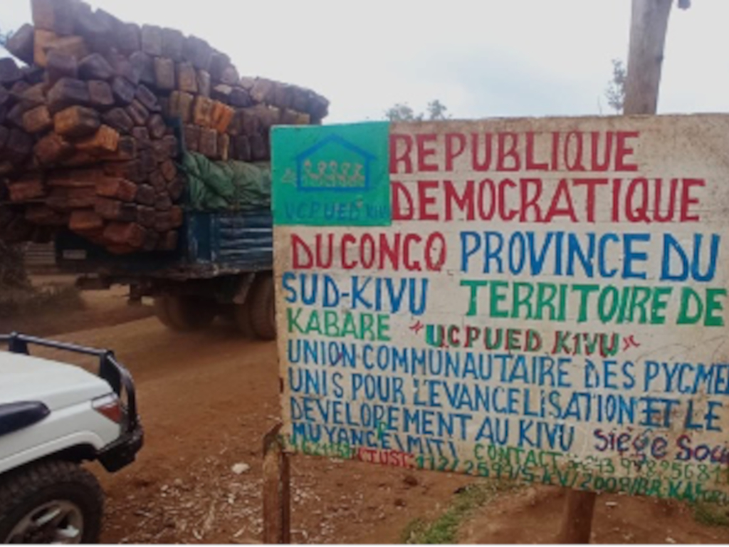 études ethnographiques peuples autochtones pygmées République démocratique du Congo