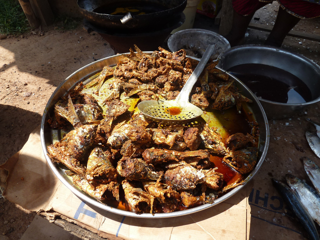 études ethnographiques alimentation sécurité alimentaire pisciculture Guinée Forestière