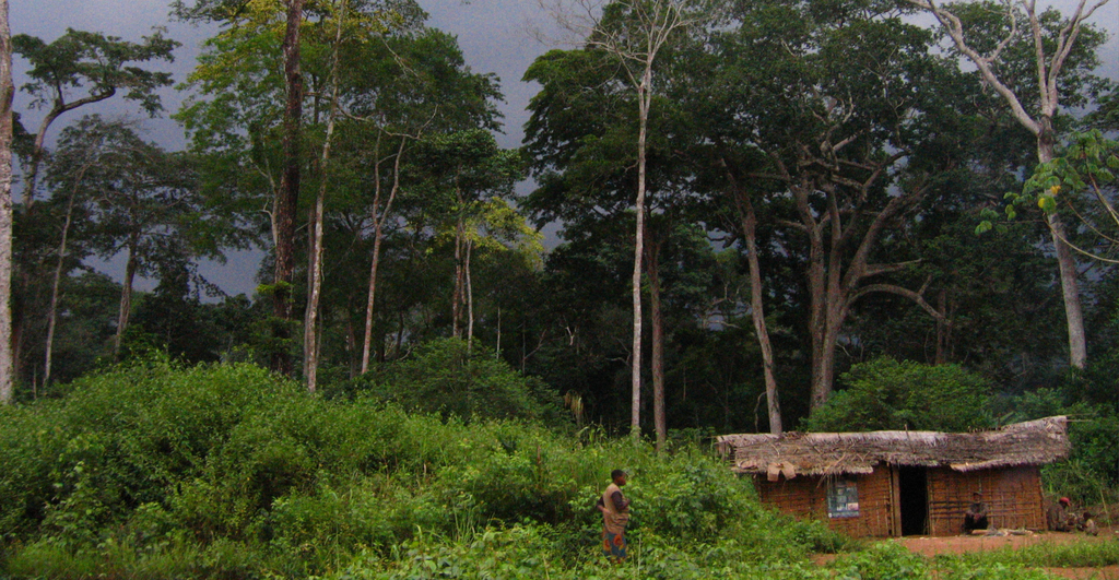 impacts sociaux Gabon peuples autochtones pygmées
