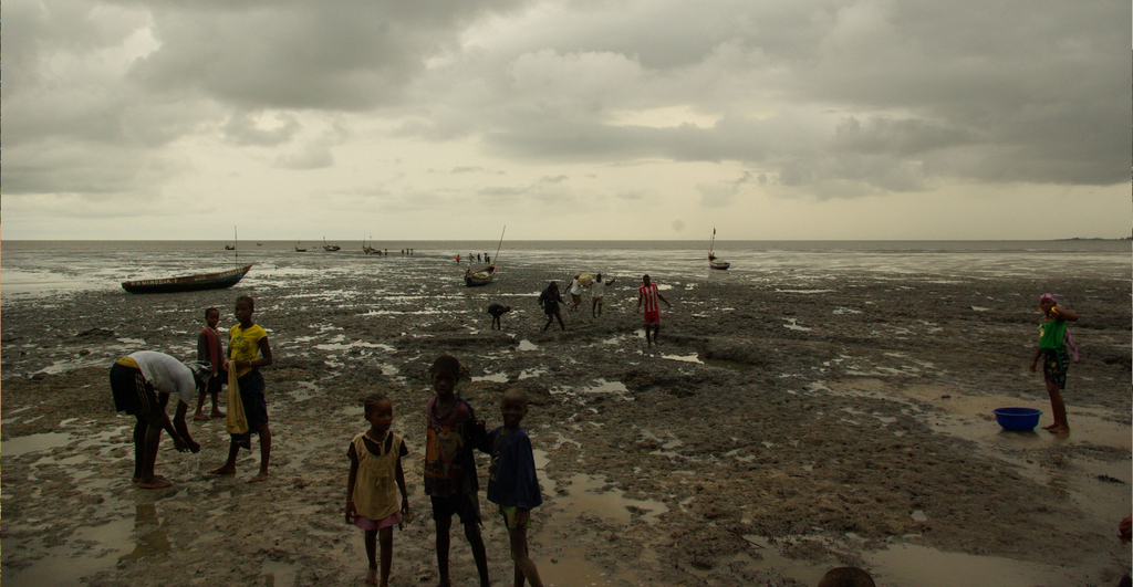 impacts sociaux Guinée EIES baseline pêche