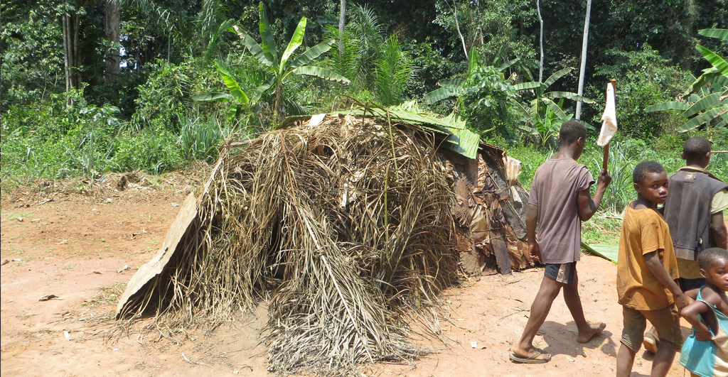 impacts sociaux peuples autochtones PUDT Congo