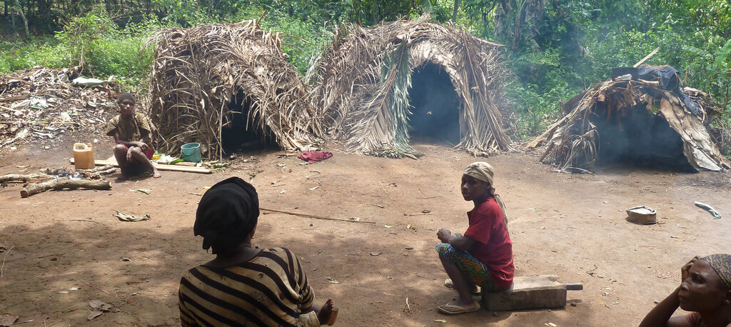 recherches inégalité peuples autochtones sociétés forestières Congo