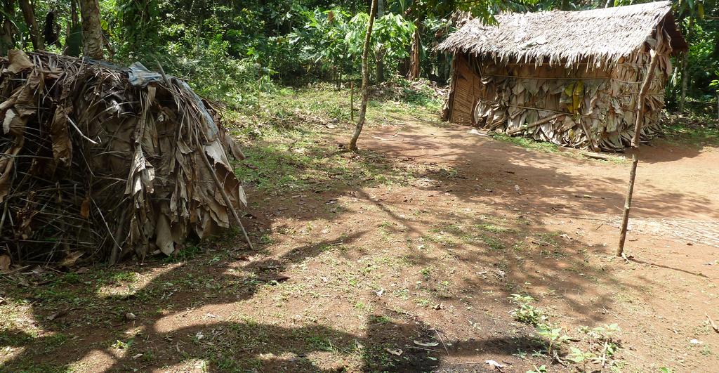 Précarité vulnérabilité impacts sociaux peuples autochtones PUDT Congo